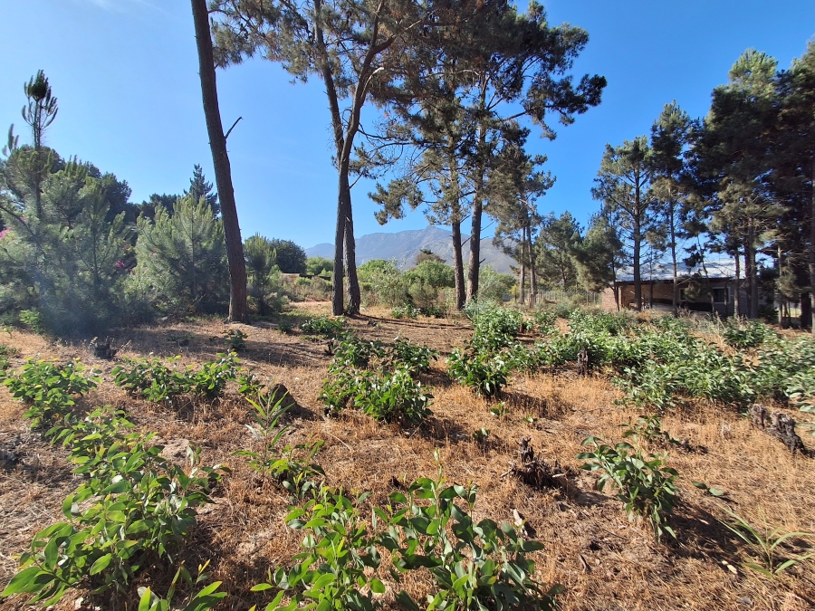 0 Bedroom Property for Sale in Bot River Western Cape